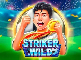 Striker WILD screenshot
